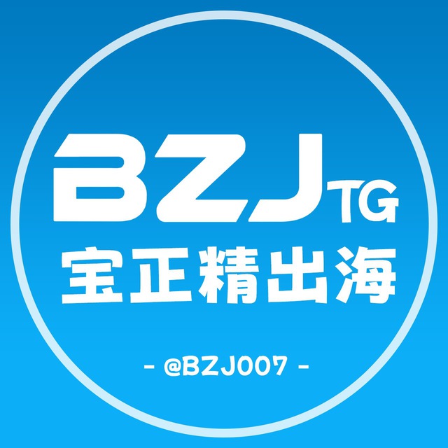 宝正精出海交流群