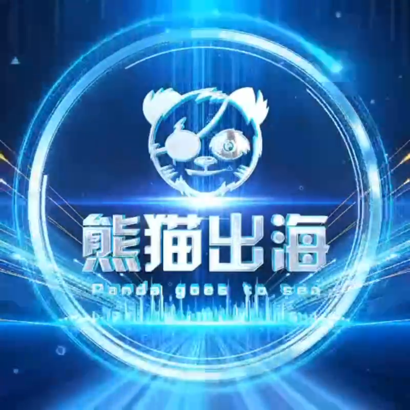 熊猫出海项目交流群