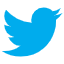 Twitter视频下载器